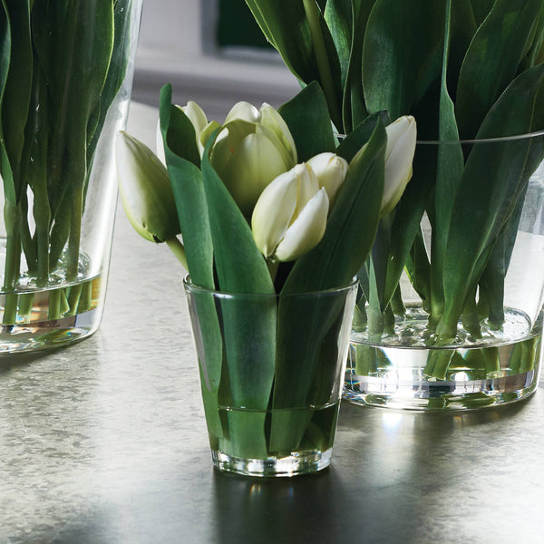 Dutch Tulip Arrangement In Vase 7.5"