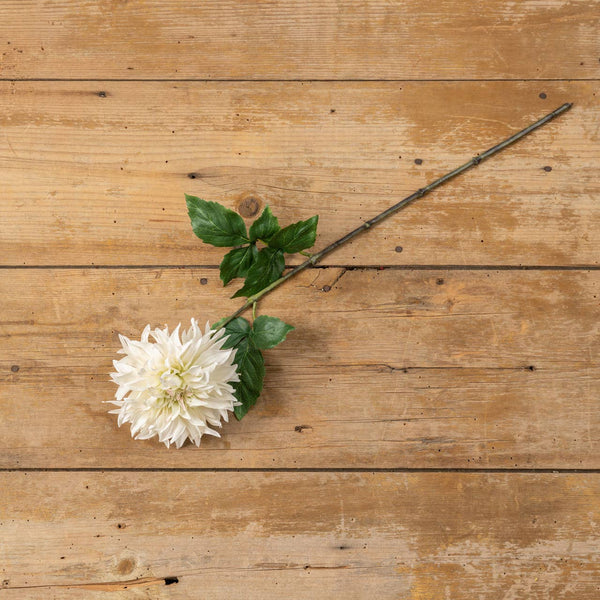 24" CREAM DAHLIA STEM