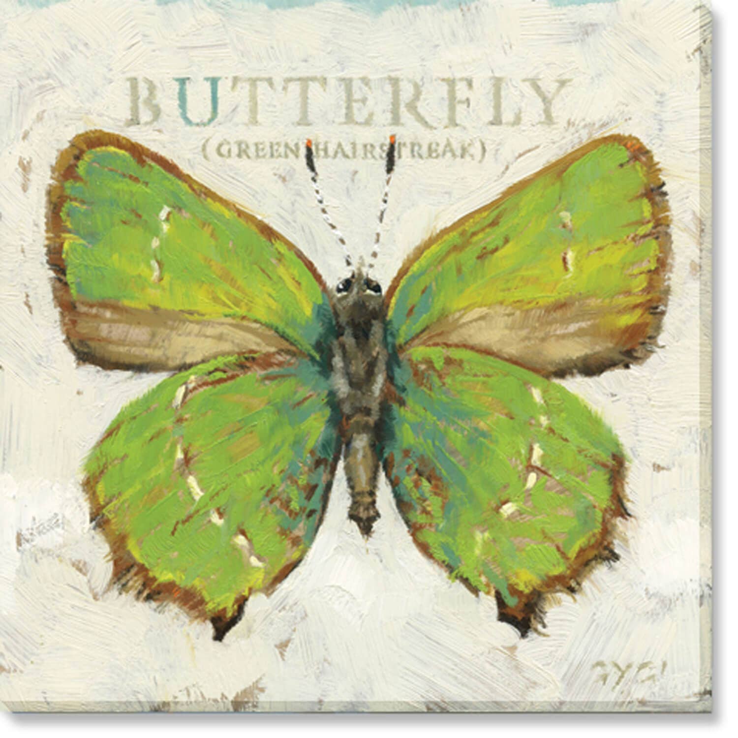 GREEN HAIRSTREAK BUTTERFLY ART