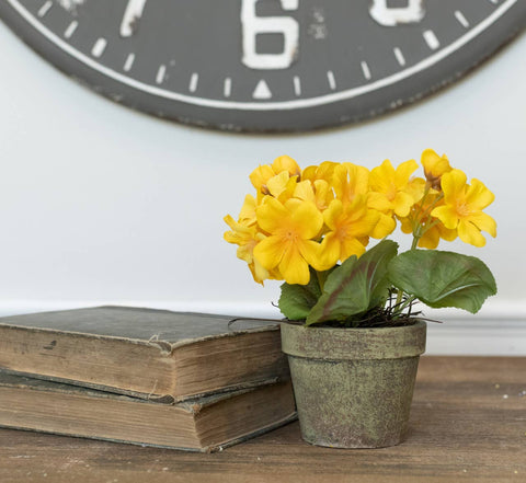 7" YELLOW POTTED GERANIUM