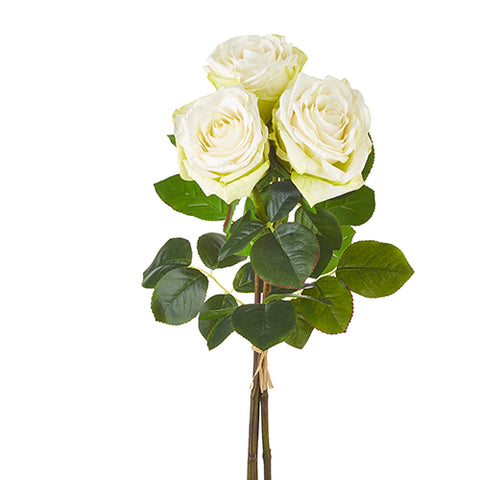 25" REAL TOUCH WHITE ROSE BUNDLE