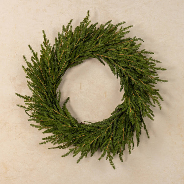 22" SOFT TOUCH NORFOLK PINE WREATH
