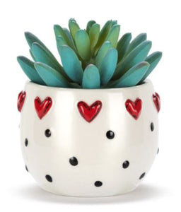 Mini Succulent - Mini Hearts