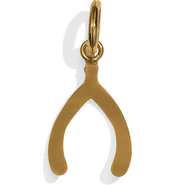Wishbone Amulet