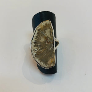 Petrified Wood Rare Blue Forest Ring