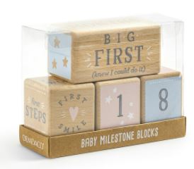 Baby Milestone Blocks